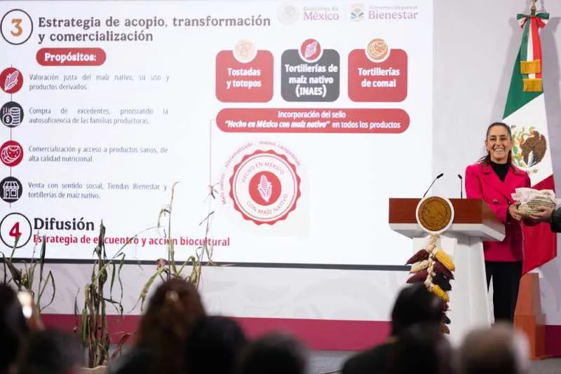 El gobierno presentó una estrategia para aprovechar la producción y comercialización del maíz nativo/Presidencia de México