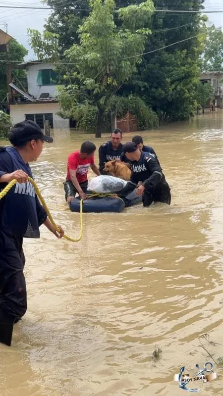 El rescate de perritos ha sido de lo más conmovedor en esta tragedia/Gobierno de México