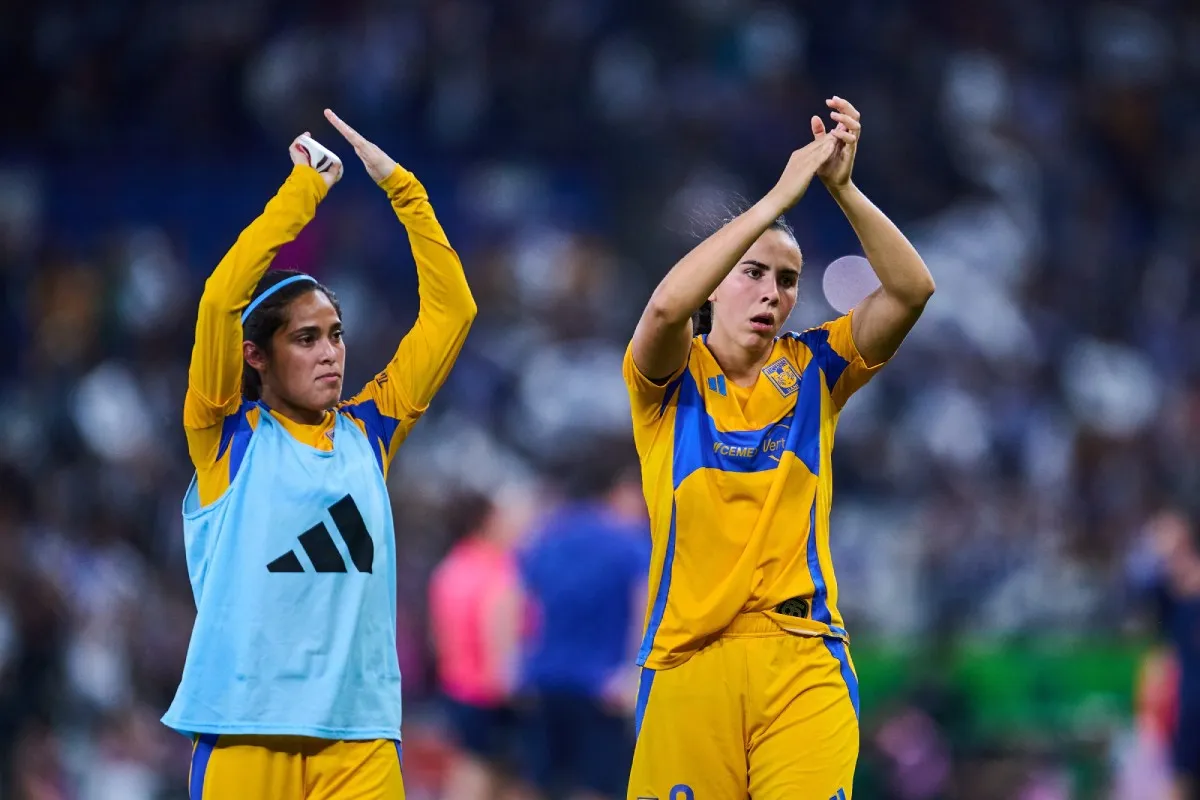 Tristeza felina | MEXSPORT