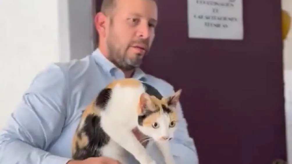 Una pequeña felina, bautizada como “Pozola” fue rescatada el pasado viernes 23 de mayo , tras permanecer más de 15 días sin comer/Redes Sociales