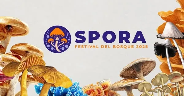SPORA: Festival Bosque de Chapultepec / Redes Sociales