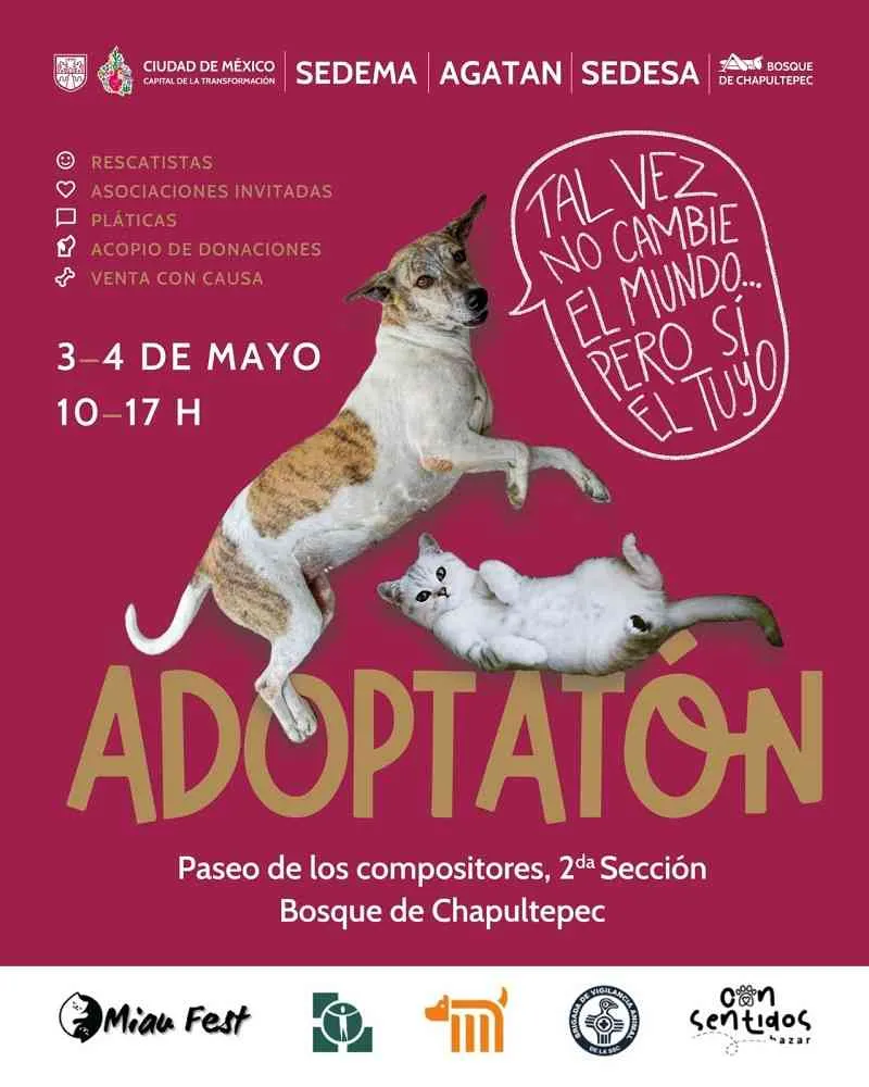 El evento es completamente gratis y para toda la familia / Redes Sociales