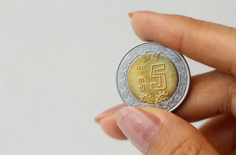 Hay dos modalidades para poder obtener un adelanto de tu Afore / FREEPIK