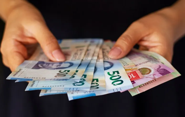 Por medio de una aplicación puedes solicitar hasta 55 mil pesos / Redes Sociales