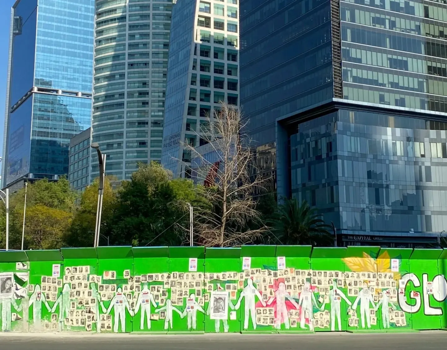 Se estudia quitar la vallas que bloquean la vista del ahuehuete / Redes Sociales