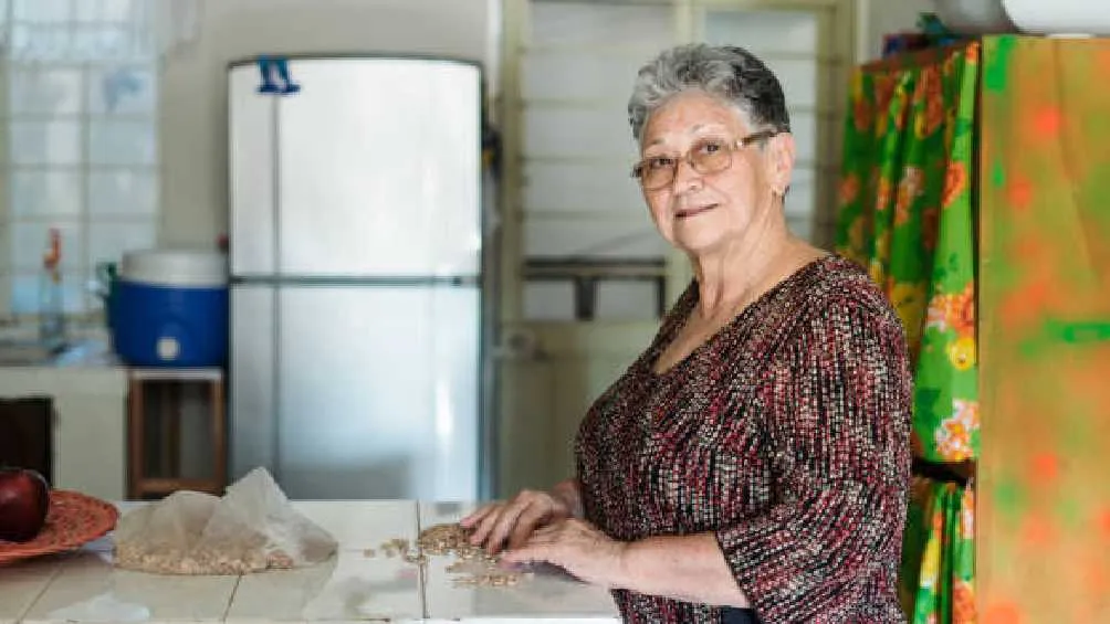 Este programa es exclusivo para amas de casa de la alcaldía Iztapalapa/Pixabay