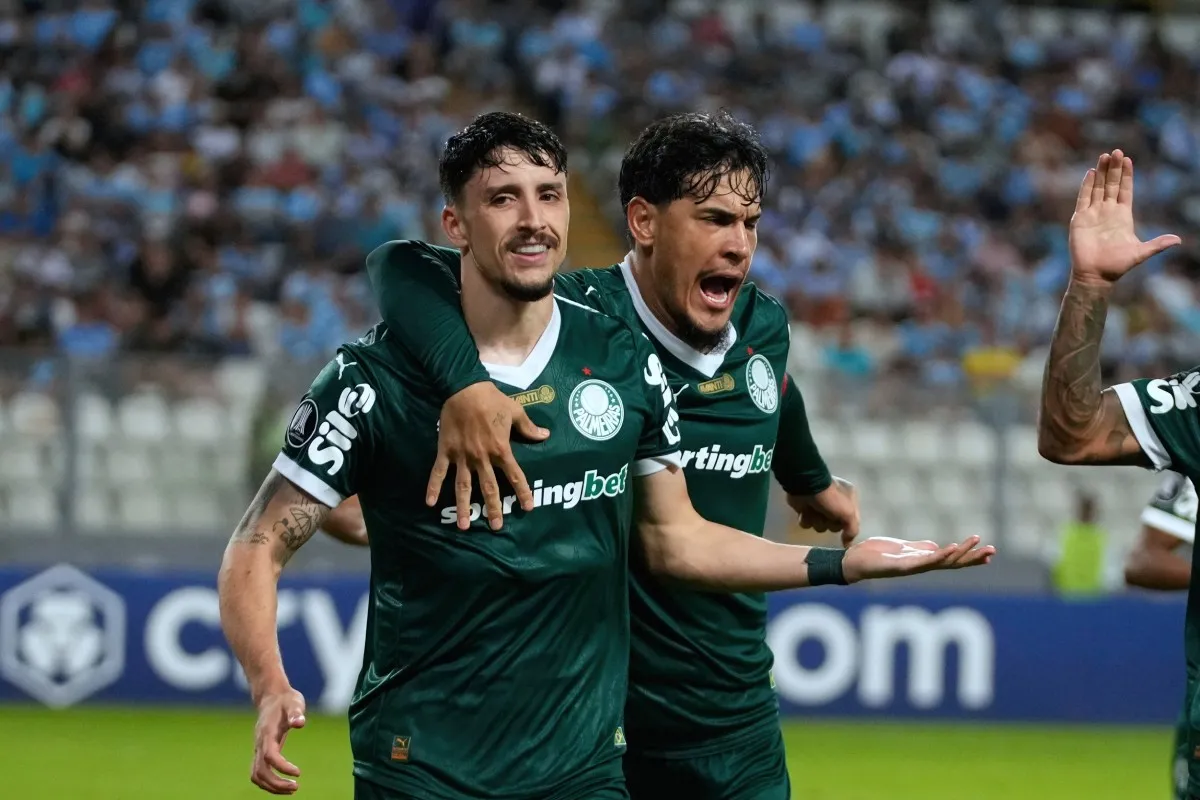 Palmeiras | AP