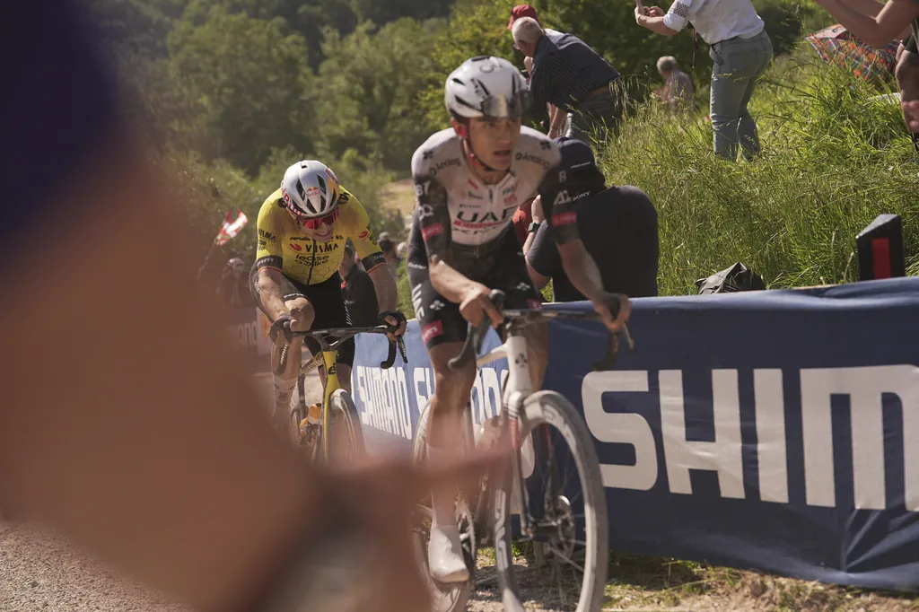 Del Toro regresa a la actividad este miércoles