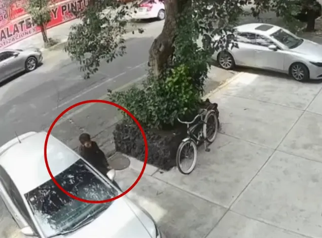 Ha sido 56 los vehículos completos recuperados / Redes Sociales