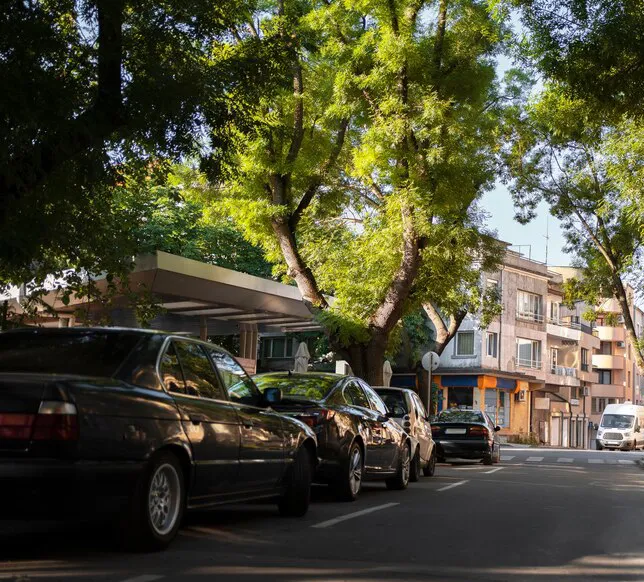 Las placas de otros estados se someterían a las normas de la CDMX / FREEPIK