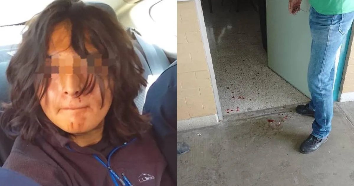 Un alumno apuñaló a su profesor de francés / Foto Especial