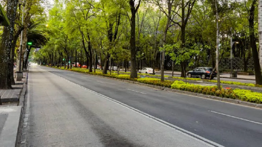 La Secretaría de Movilidad Ciudadana, presentó una propuesta, junto a la jefa de Gobierno, Clara Brugada, con la finalidad de regular el uso de scooters y bicicletas eléctricas/iStock