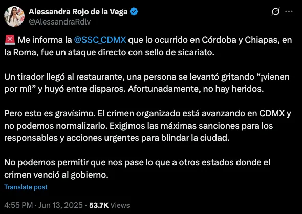 La alcaldesa Alessandra Rojo de la Vega pidió más seguridad para la CDMX / Especial