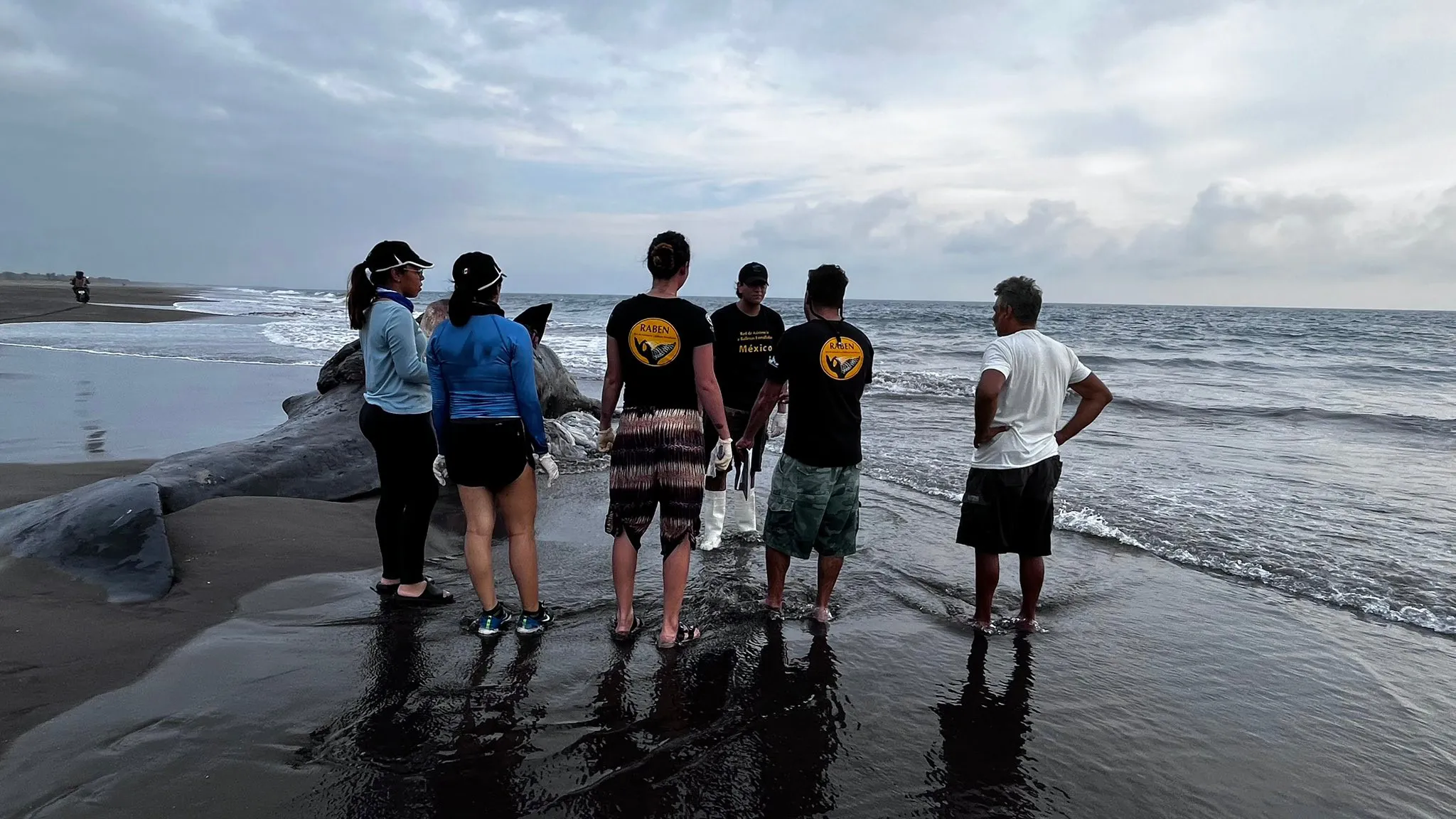 Varias personas se reunieron para apoyar a las autoridades / Redes Sociales