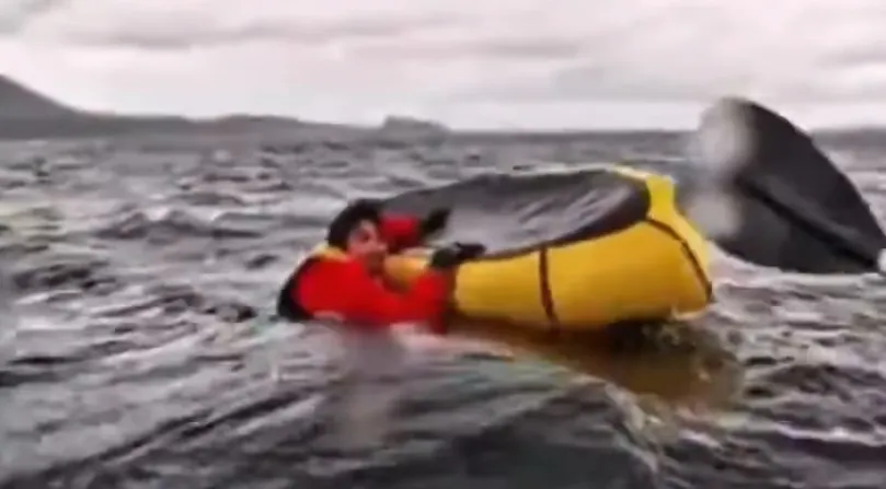 El hombre nadó hasta donde estaba su padre para escapar del mamífero / Redes Sociales