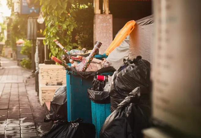 Se busca que se convierta en delito tirar basura / FREEPIK