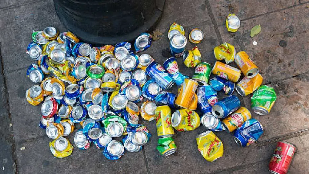 Multas económicas y arresto son las sanciones por tirar basura en la calle/Pixabay