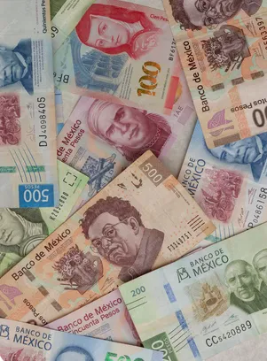 El Banxico recomienda otras maneras para detectar billetes falsos / FREEPIK