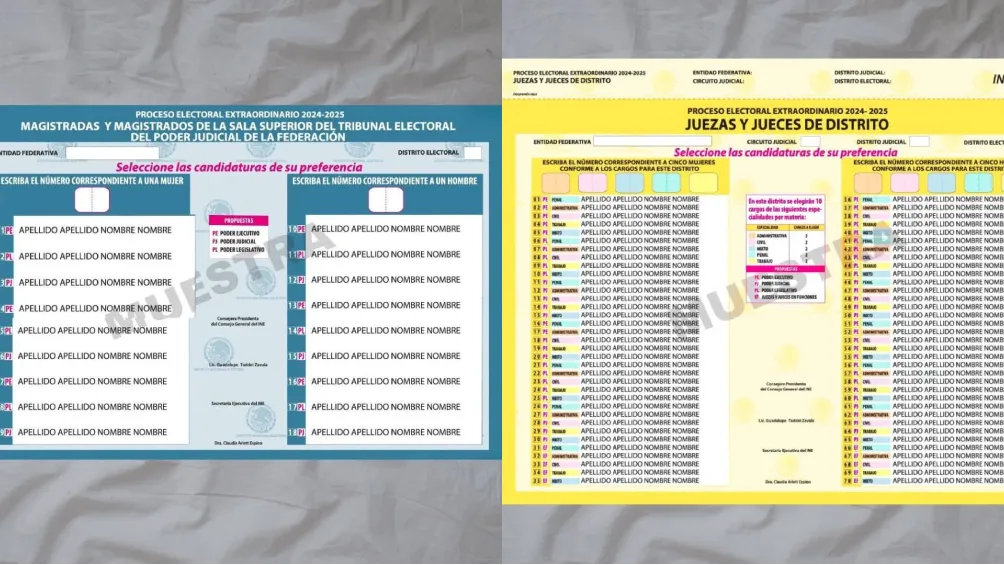Serán seis la boletas que se entregarán y son de distintos colores / Redes Sociales