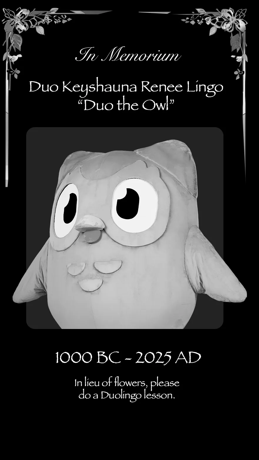 La muerte del búho Duo era una broma de la empresa de idiomas / Especial