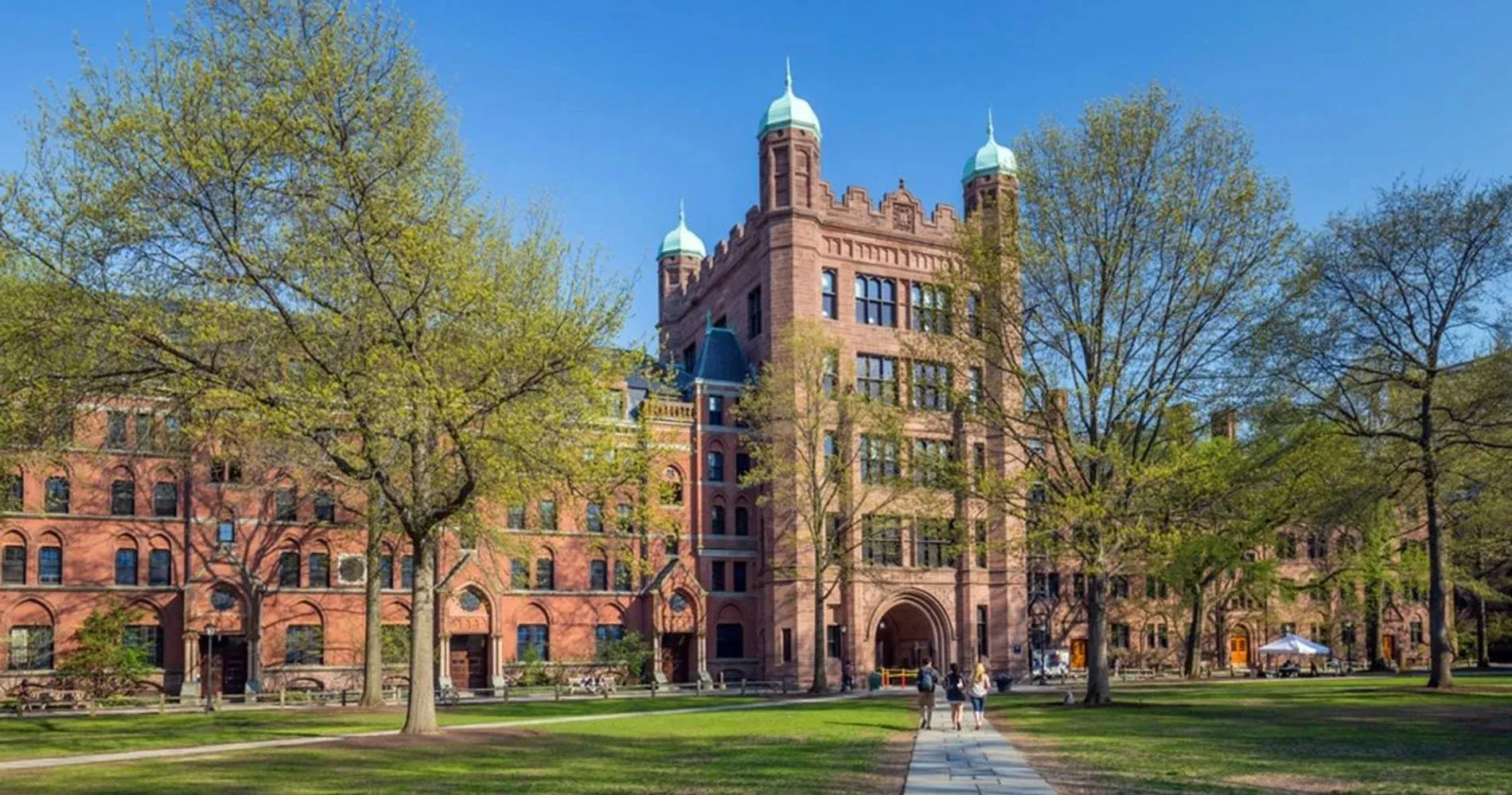 La universidad de Yale se une al estudio del 'conejo malo' / Especial