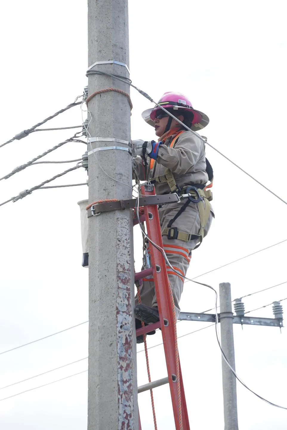 Las empresas privadas se deberán coordinar con las autoridades capitalinas / Redes Sociales