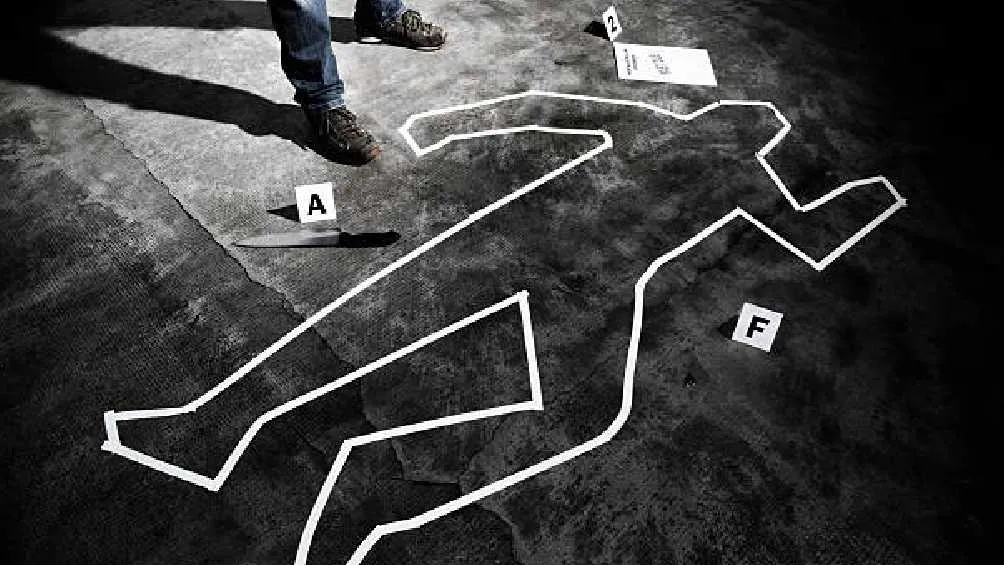 Los asesinatos fueron más de 15 mil en este lapso de tiempo/Pixabay