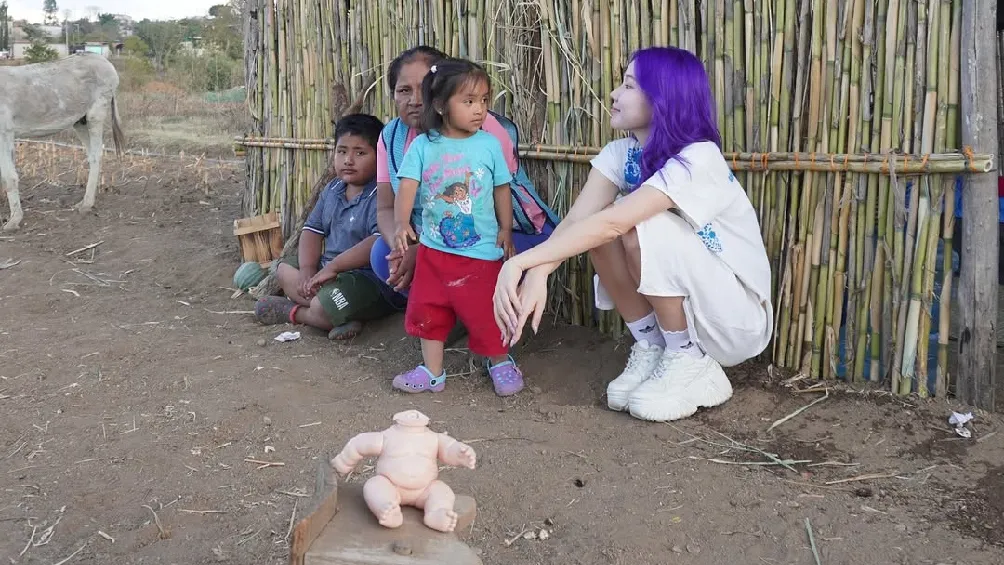 Ella misma ha expresado públicamente que no quiere pagar impuestos en México/Instagram