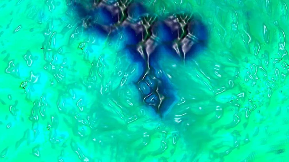 Fue gracias a una técnica especial que humanos lograron percibir este color/X