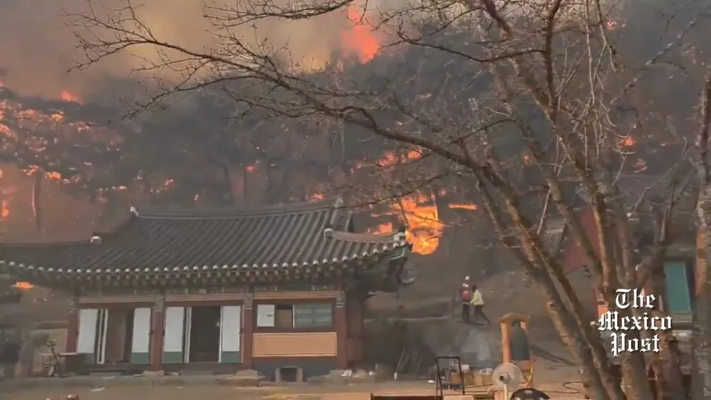 Un templo budista fue afectado por las llamas / Redes Sociales