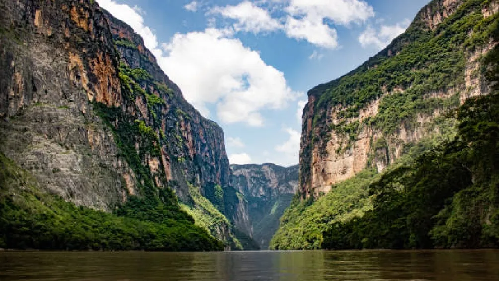 De manera oficial la Comisión Nacional de Áreas Naturales Protegidas (Conanp) realizó una demanda ante la Procuraduría Federal de Protección al Ambiente (Profepa)/iStock