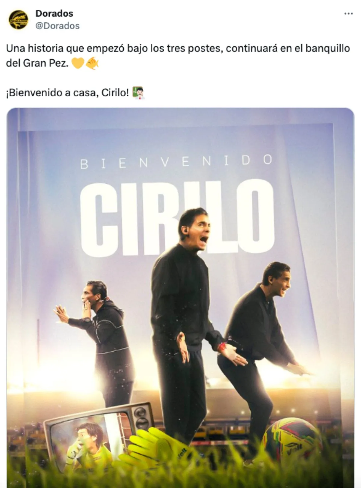 Su llegada | Captura de Pantalla: @Dorados