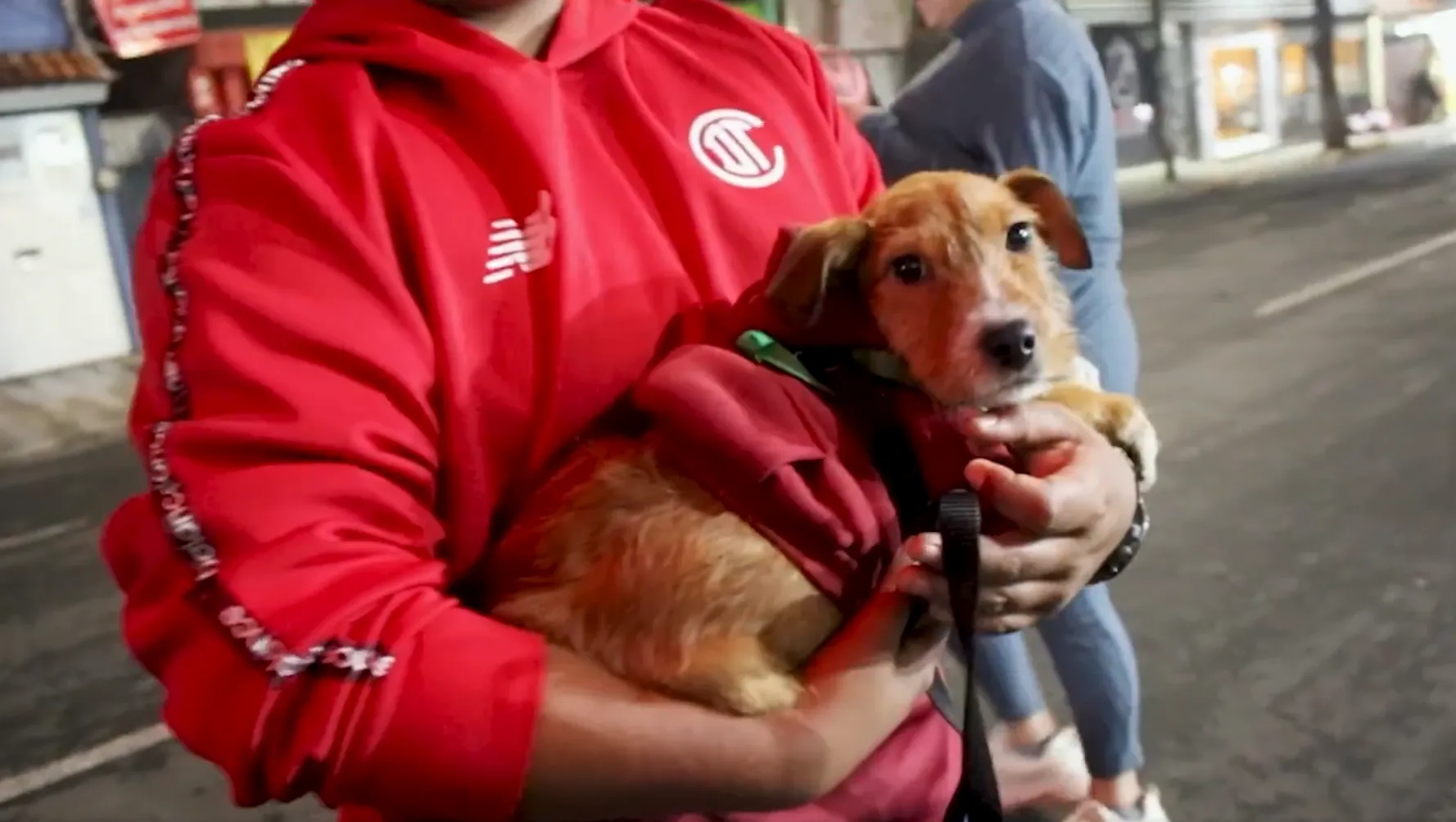 La asociación entre el gobierno y el equipo de futbol ha sido favorable