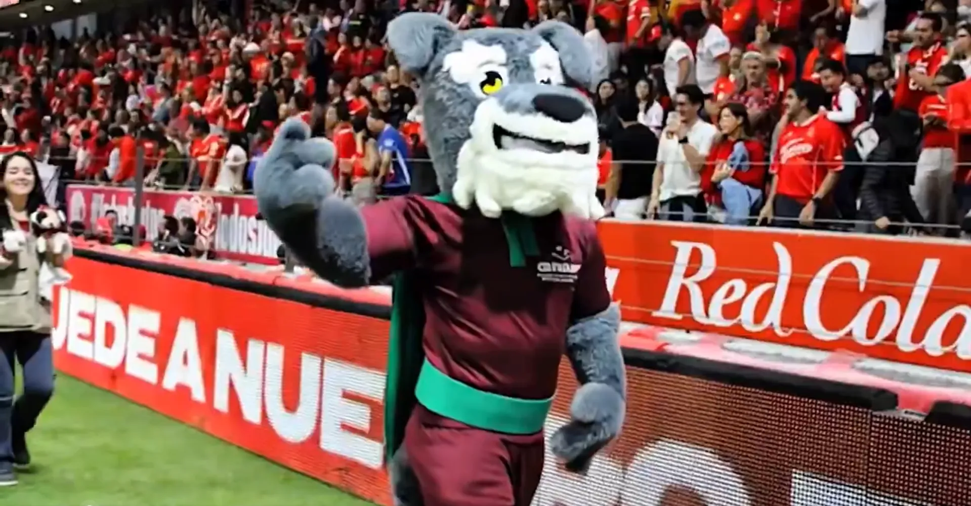 La campaña ha favorecido 70 adopciones a lo largo del torneo en el Nemesio Diez