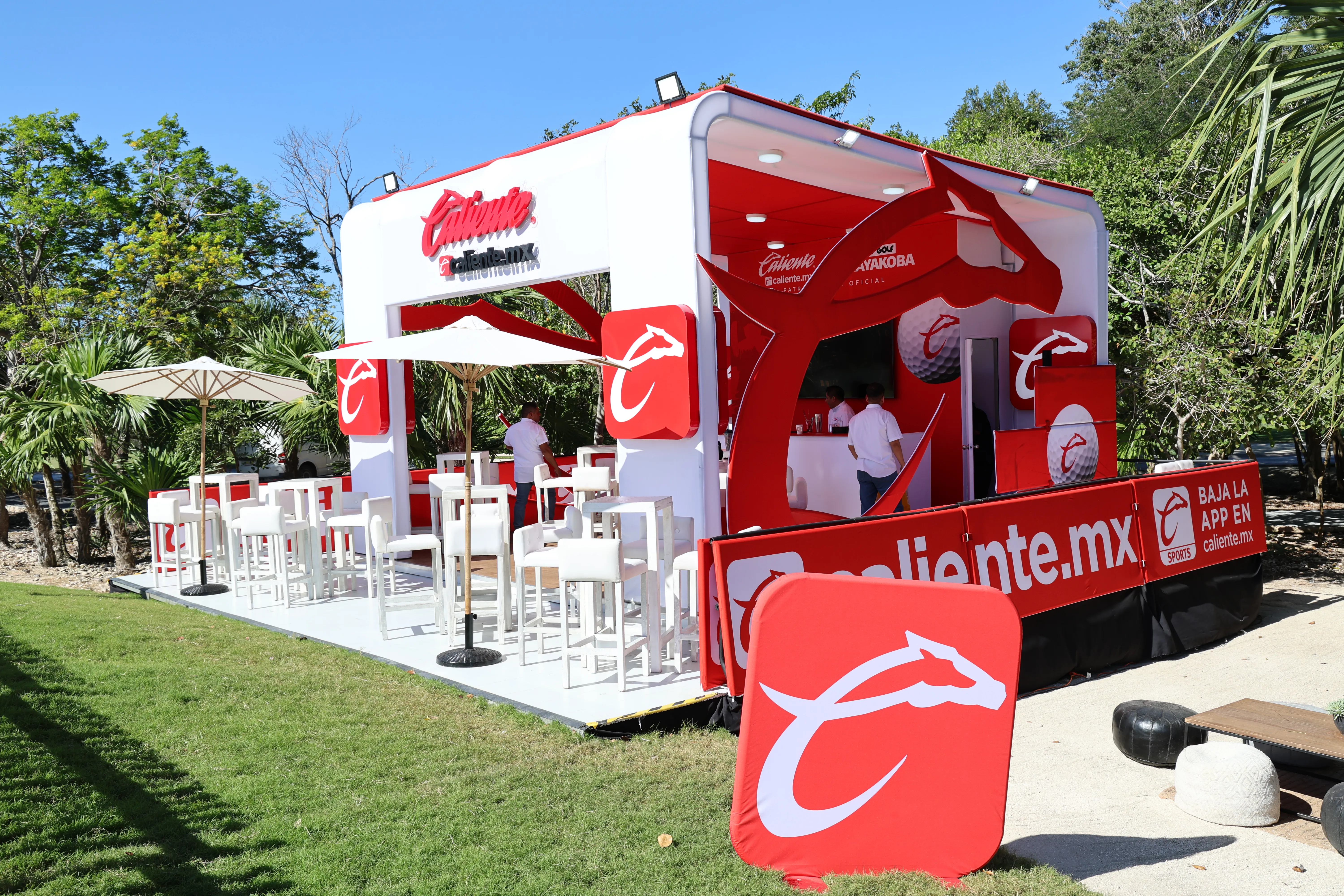 Copy of 0F8A0005 (1).JPG