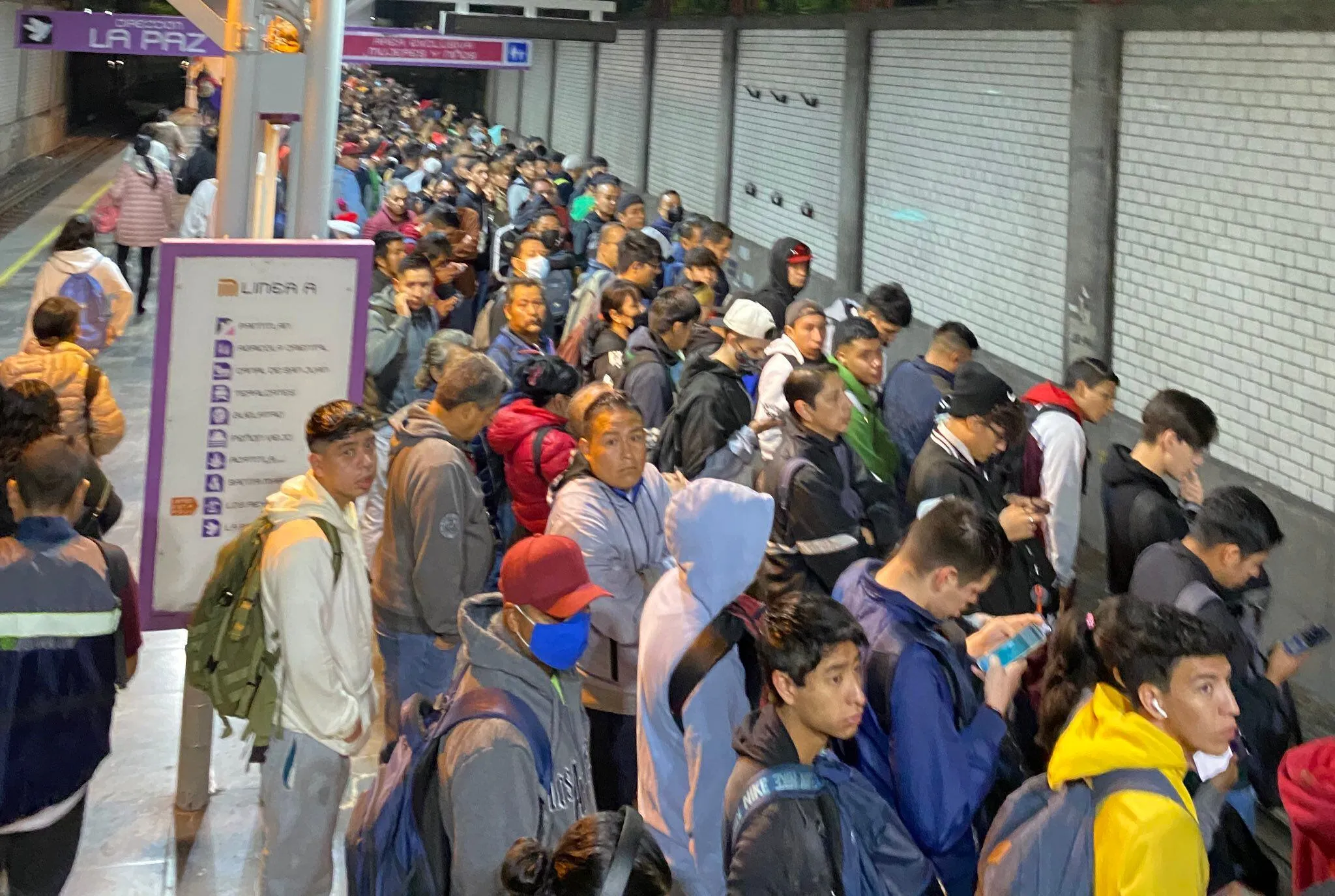 Miles de usuarios utilizan los servicios de esta línea diariamente / El Financiero