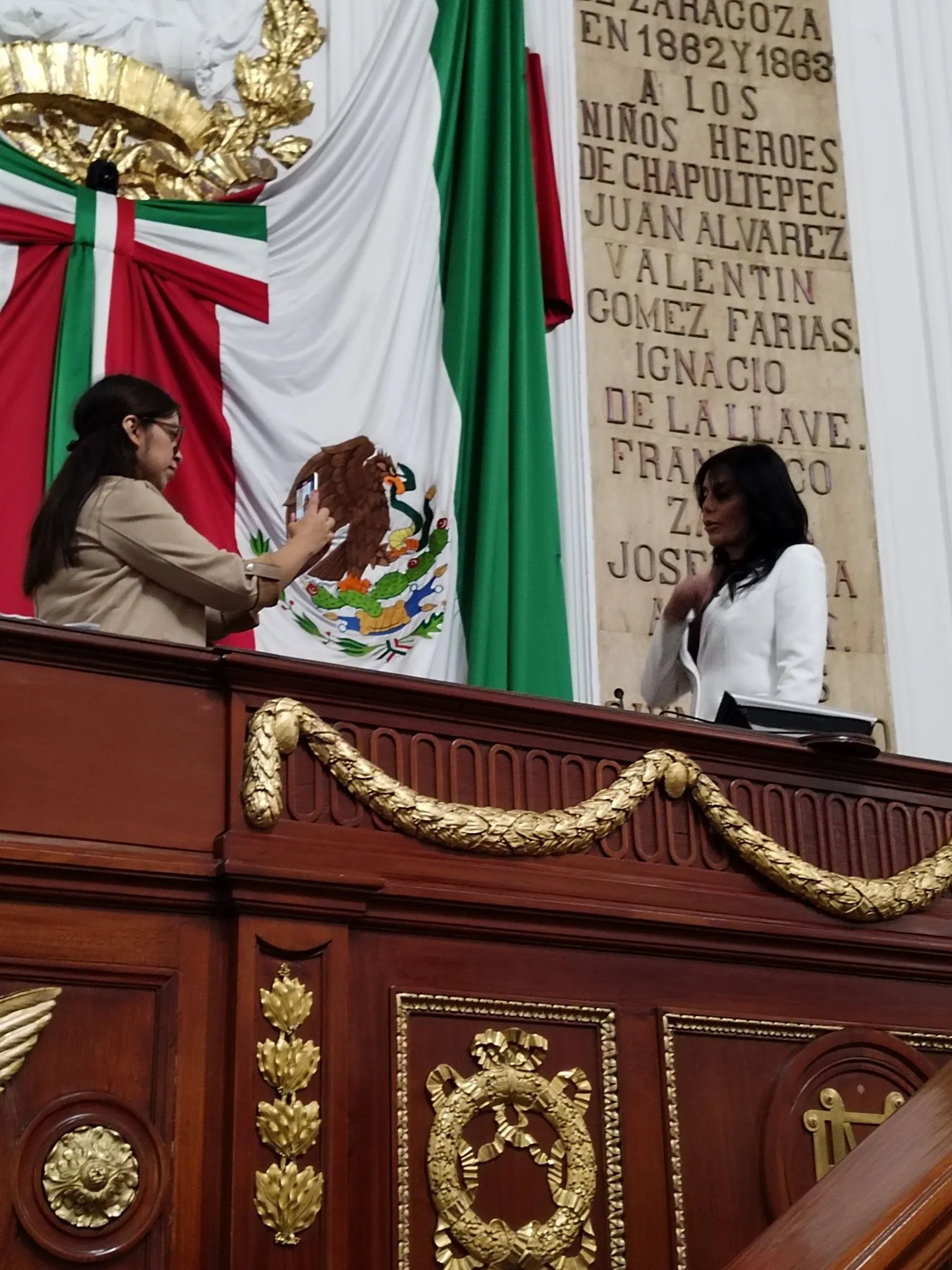 Diana Sánchez Barrios ahora es diputada de la CDMX / Redes Sociales