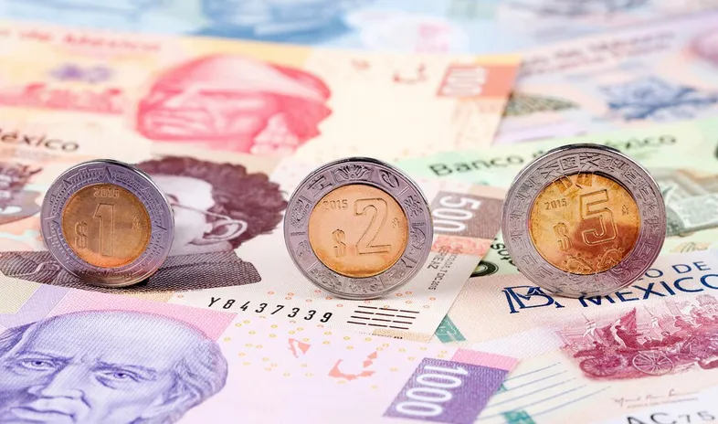 Revisa día a día el tipo de cambio de las divisas / FREEPIK