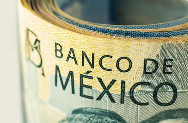 Revisa día a día el tipo de cambio de las divisas / FREEPIK