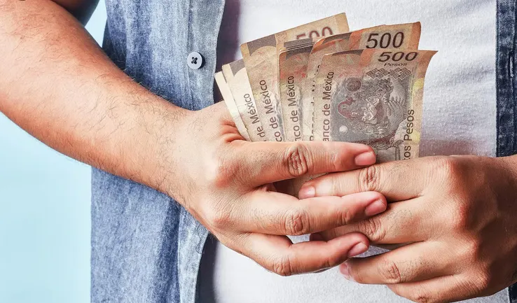 El peso se mantiene estable ya que no hay grandes cambios en el mercado bursatil / FREEPIK