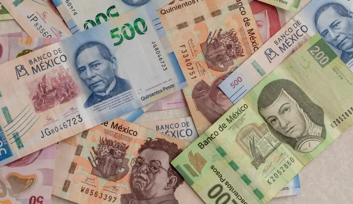 El peso se mantiene estable ya que no hay grandes cambios en el mercado bursatil / FREEPIK