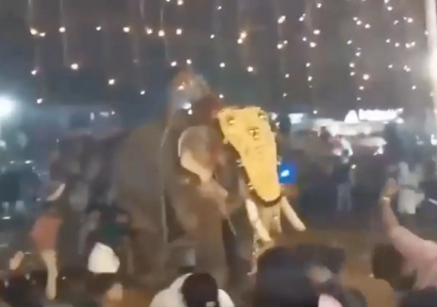 El animal se salió de control y arremetió contra la multitud / Redes Sociales