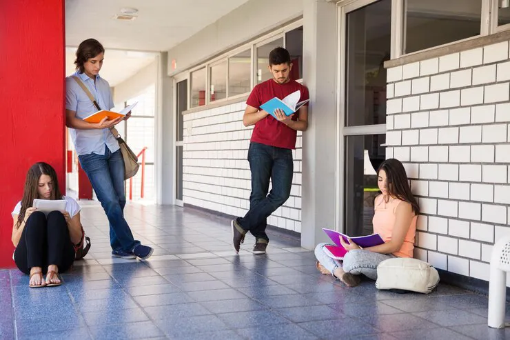 Las pruebas son en base a siete lineamientos / FREEPIK