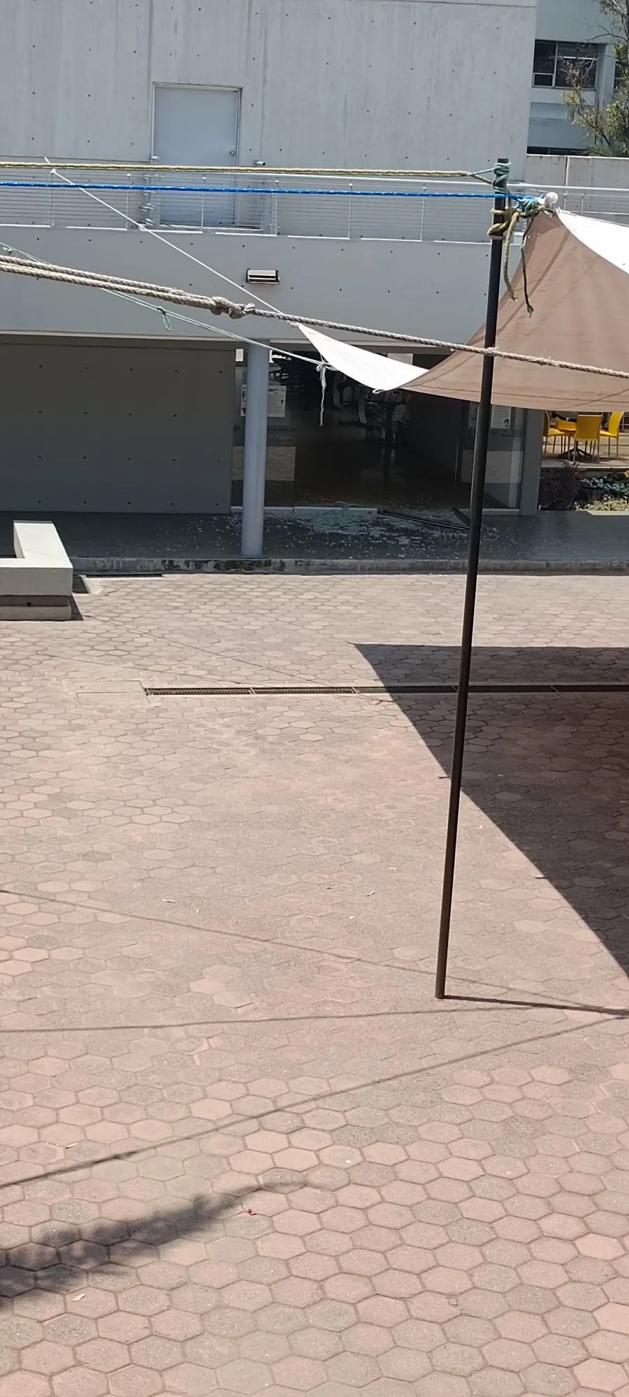 Esta es la puerta de cristal que rompieron con una piedra / Redes Sociales