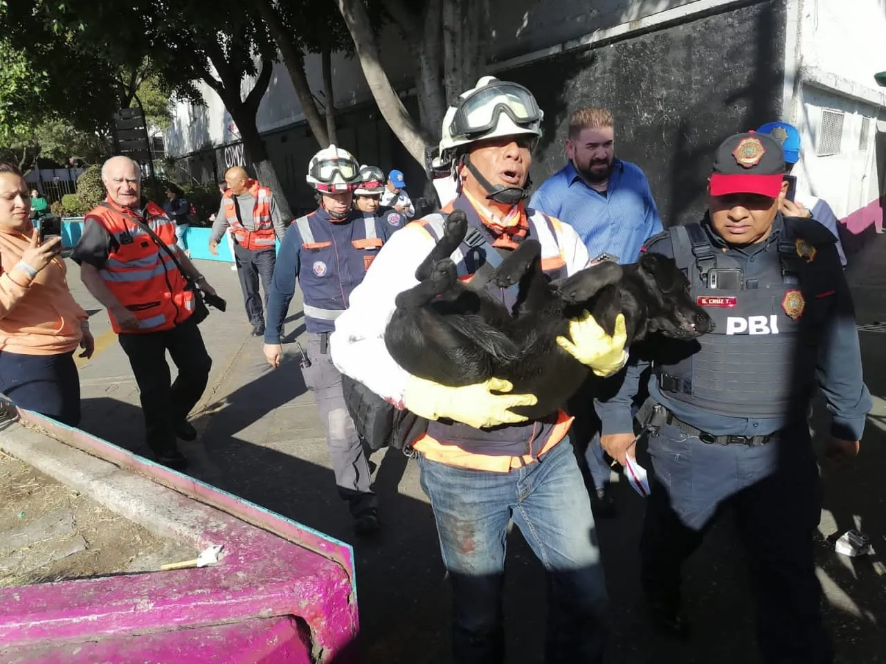 Autoridades del Metro de la CDMX rescantan al perrito