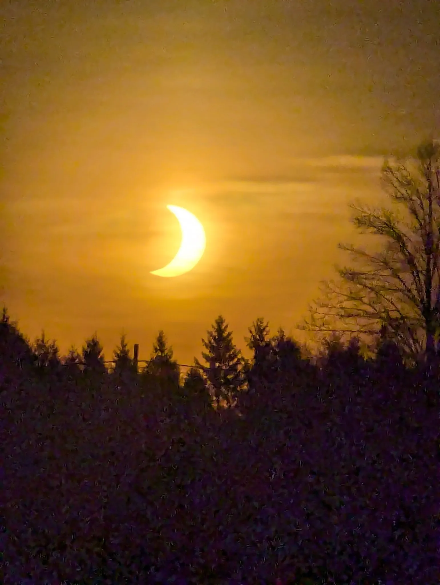 En las redes la gente compartió el cómo vivieron el eclipse / Redes Sociales