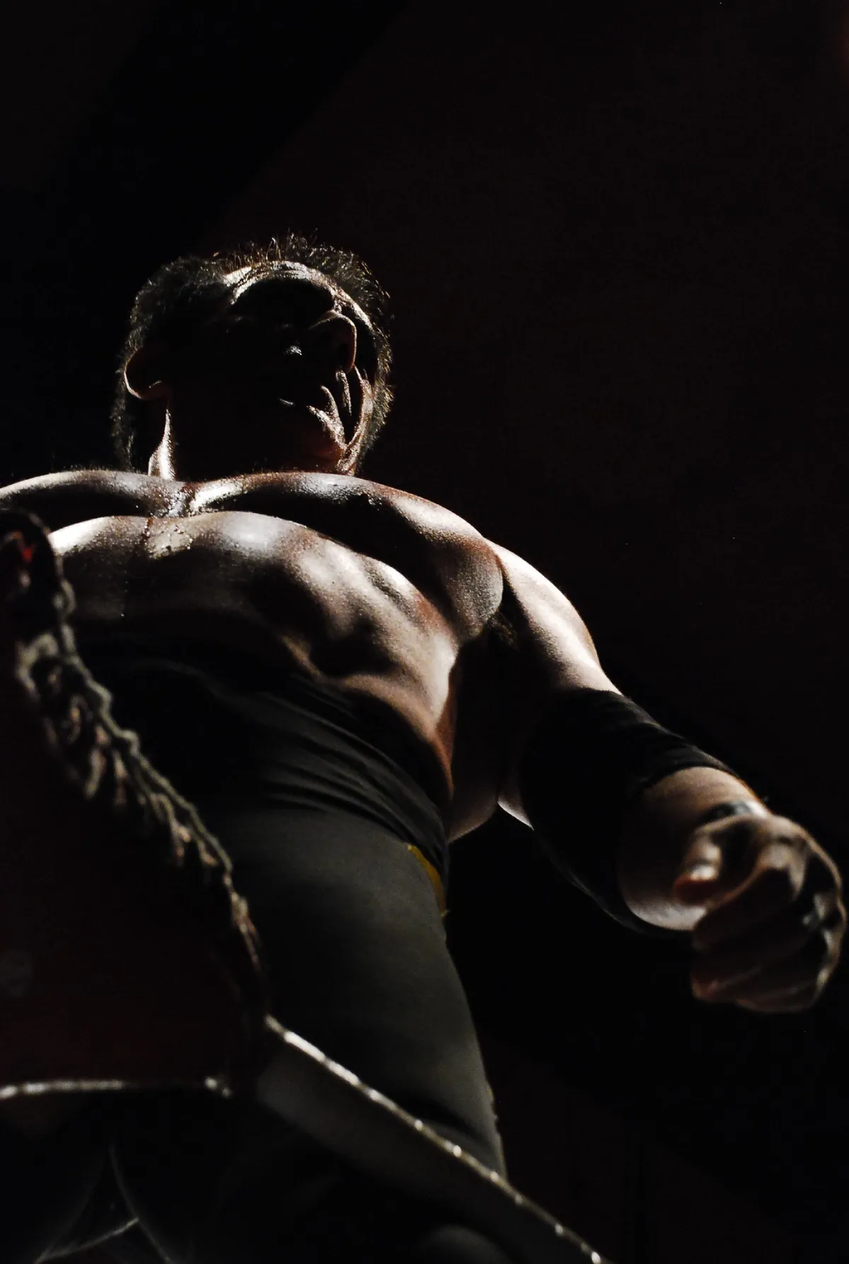 Black Terry | @daniherrerias