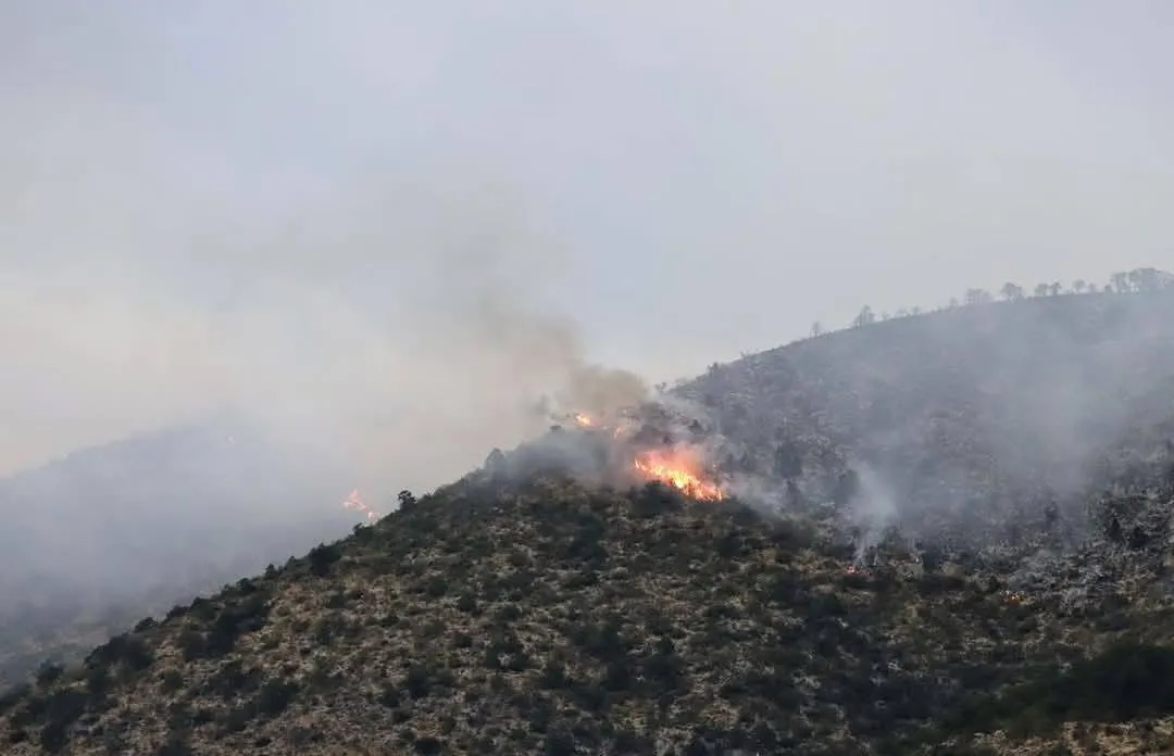 Los Brigadistas se dirigían a la Sierra de Arteaga a combatir un incendio / Redes Sociales