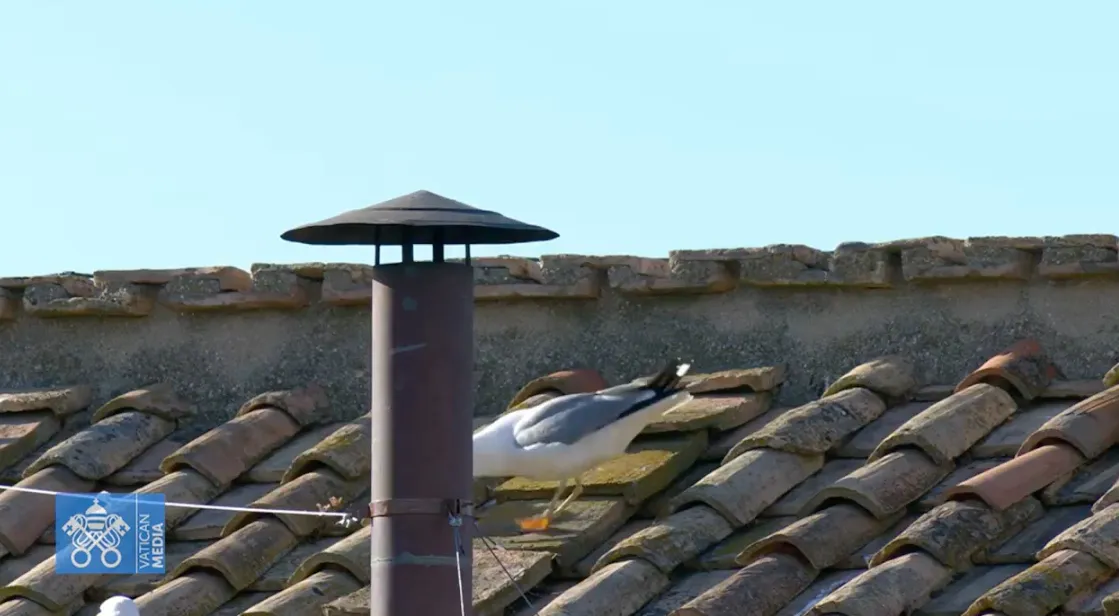 Nadie se esperaba que hoy se eligiera al papa nuevo / Redes Sociales