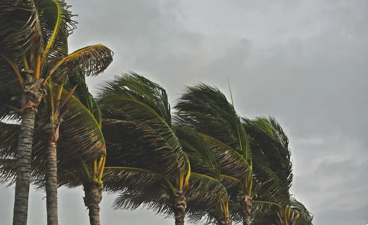 Se esperan 4 huracanes de gran impacto / FREEPIK